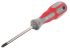 Викрутка хрестова PZ2 100мм (006.28.382)