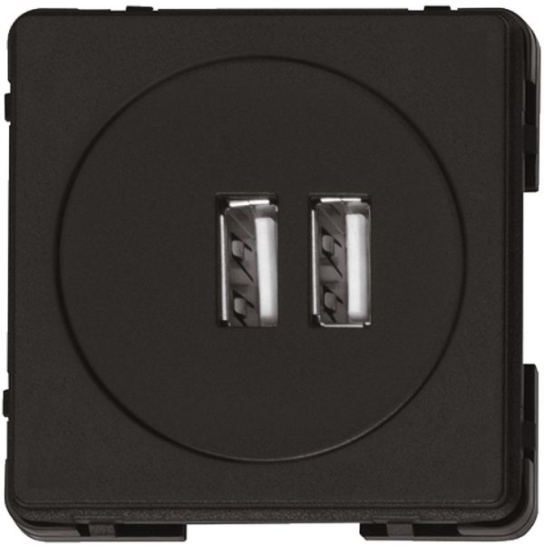 USB зарядка 2xUSB 5V 2.1 чорна матова , 820.89.081 <p>USB зарядка 2xUSB 5V 2.1 чорна матова</p>