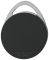 Key Tag Mifare Class.KT чорний| Mifare Classic EV1, чорний, (917.64.143)  3926909790, 917.64.143, Фото № 1 Key Tag Mifare Class.KT чорний| Mifare Classic EV1, чорний, (917.64.143)  3926909790, 917.64.143